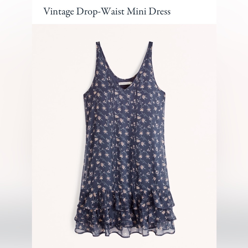 NWOT Abercrombie Vintage Drop-Waist Mini Dress
